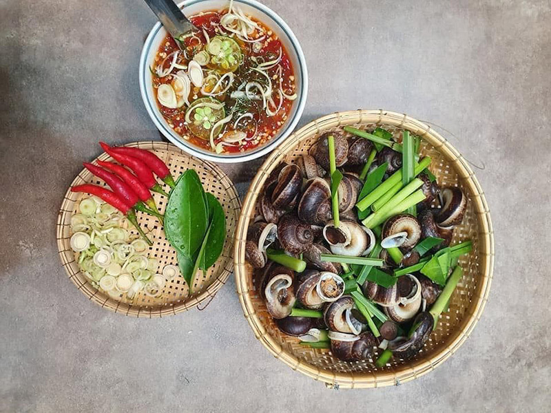 Ốc núi Tây Ninh